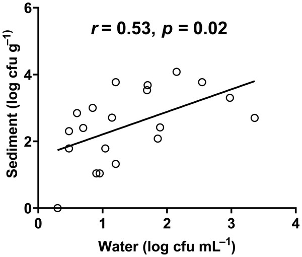 Correlation between the abundance of E. coli in water and sediment.