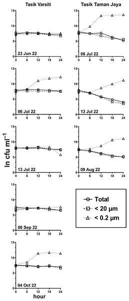 E. coli. decay or growth over time (ln cfu mL−1) in total, <20 µm and <0.2 µm fractions.