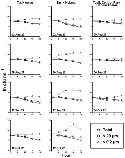 E. coli decay or growth over time (ln cfu mL−1) in total, <20 µm and <0.2 µm fractions.