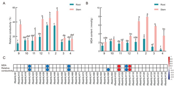 Relationship between physiological indicators and RbebHLHs expression.