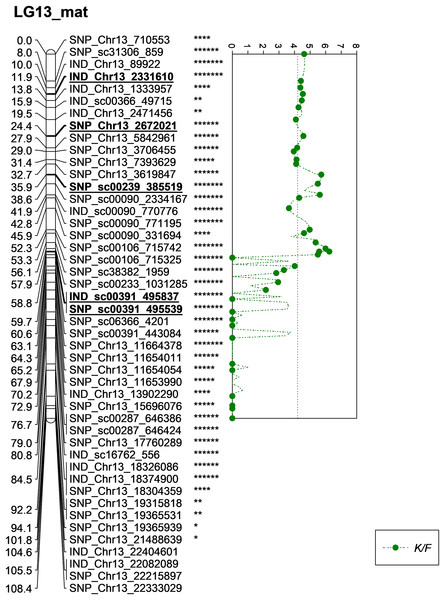 Oil palm linkage map and distribution of QTLs associated with kernel to fruit.