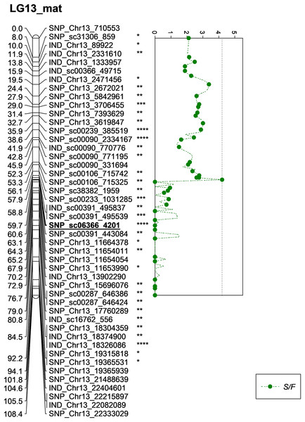 Oil palm linkage map and distribution of QTLs associated with shell to fruit.