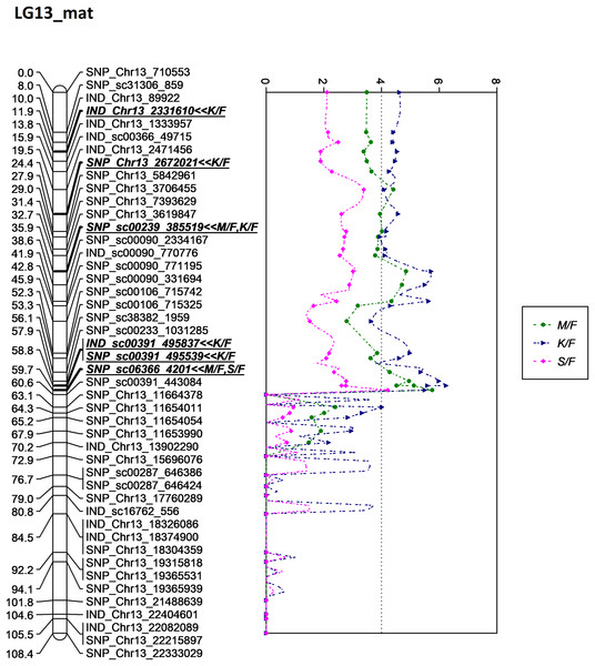 Oil palm linkage map and distribution of QTLs associated with mesocarp-to-fruit kernel-to-fruit shell-to-fruit.