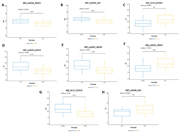 Genotype effects of the significant markers.