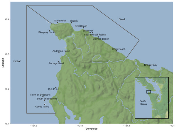 A map of the area where plankton tows and whale surveys were conducted along the northwest coast of Washington state during the 2019 and 2020 summer-fall gray whale (Eschrichtius robustus) feeding season.