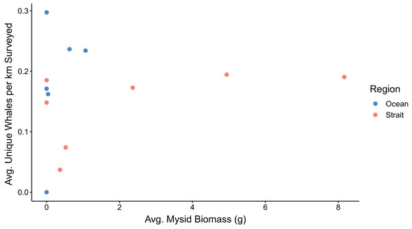 Mysid shrimp (Mysida) biomass and gray whale (Eschrichtius robustus) observations from surveys conducted along the northwest coast of Washington state during the summer-fall of 2019 and 2020.