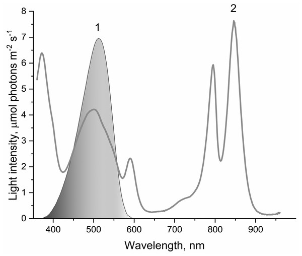 The spectrum of light used to illuminate LH2 preparations (1) and absorption spectrum of LH2 preparations (2).