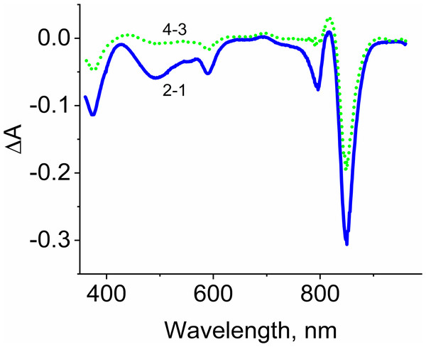 Difference (light minus dark) absorption spectra of LH2 preparations.