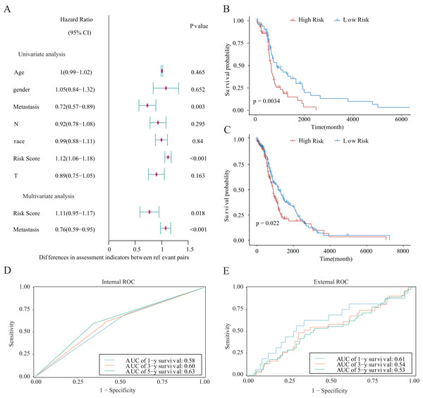 Prognostic risk score as an independent predictor of overall survival for patients with LUAD.