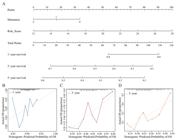 Nomograms and decision curve analysis (DCA) for the prognostic model.