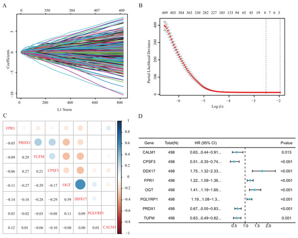 Establishment of a prognostic gene signature via LASSO Cox regression analysis.