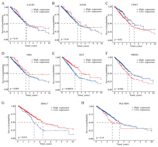 Kaplan–Meier analysis of the correlations between eight NRGs and LUAD prognosis.