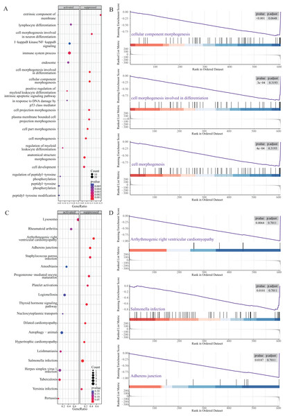 GSEA of NRGs in the high-risk and low-risk groups.