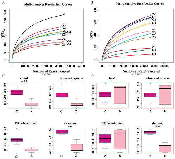 Daqu bacterial serial dilution curve (A), Daqu fungal dilution curve (B), and Daqu sample bacterial and fungal Alpha diversity analysis box diagram (C and D).