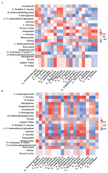 Heat map of correlations between core microorganisms and metabolites in high-temperature Daqu (A) and middle-temperature Daqu (B).