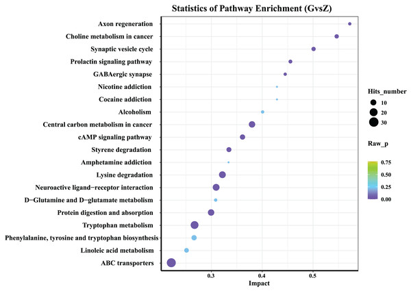 KEGG analysis of differential metabolites.