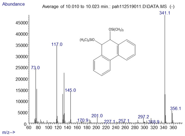 Electron ionization mass spectrum of compound eluting at 10 min suggested a silylated phenanthrene diol from incubation of Mycobacterium rutilum with phenanthrene.