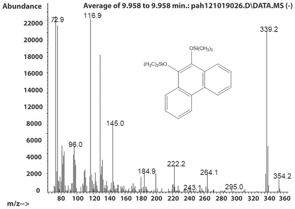 Electron ionization mass spectrum of compound eluting at 9.95 min suggested to be silylated 9,10-dihydroxyphenanthrene from incubation of Mycobacterium rutilum with phenanthrene.