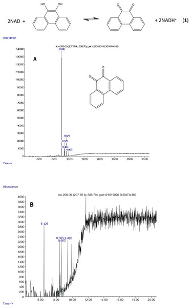 Metabolites of phenanthrene produced by Mycobacterium rutilum include 9,10-dihydroxyphenanthrene and 9,10-phenanthrenedione.