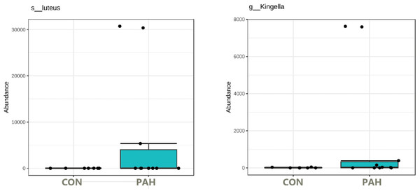 Box plot of tongue biofilm taxa that survived 5 weeks of PAH selection and were at zero or minimal levels in culture not exposed to PAH.