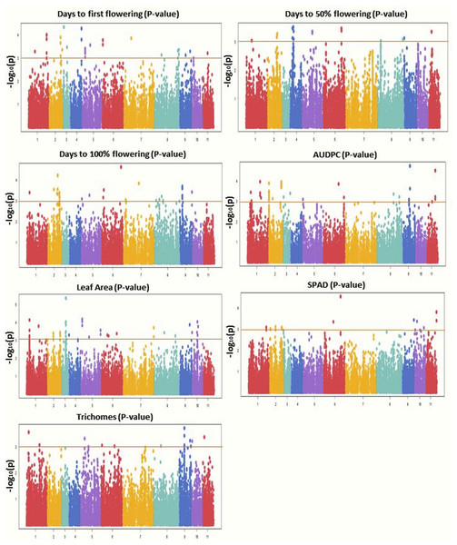 Manhattan plots showing significant p-values (BLINK model) for various traits.