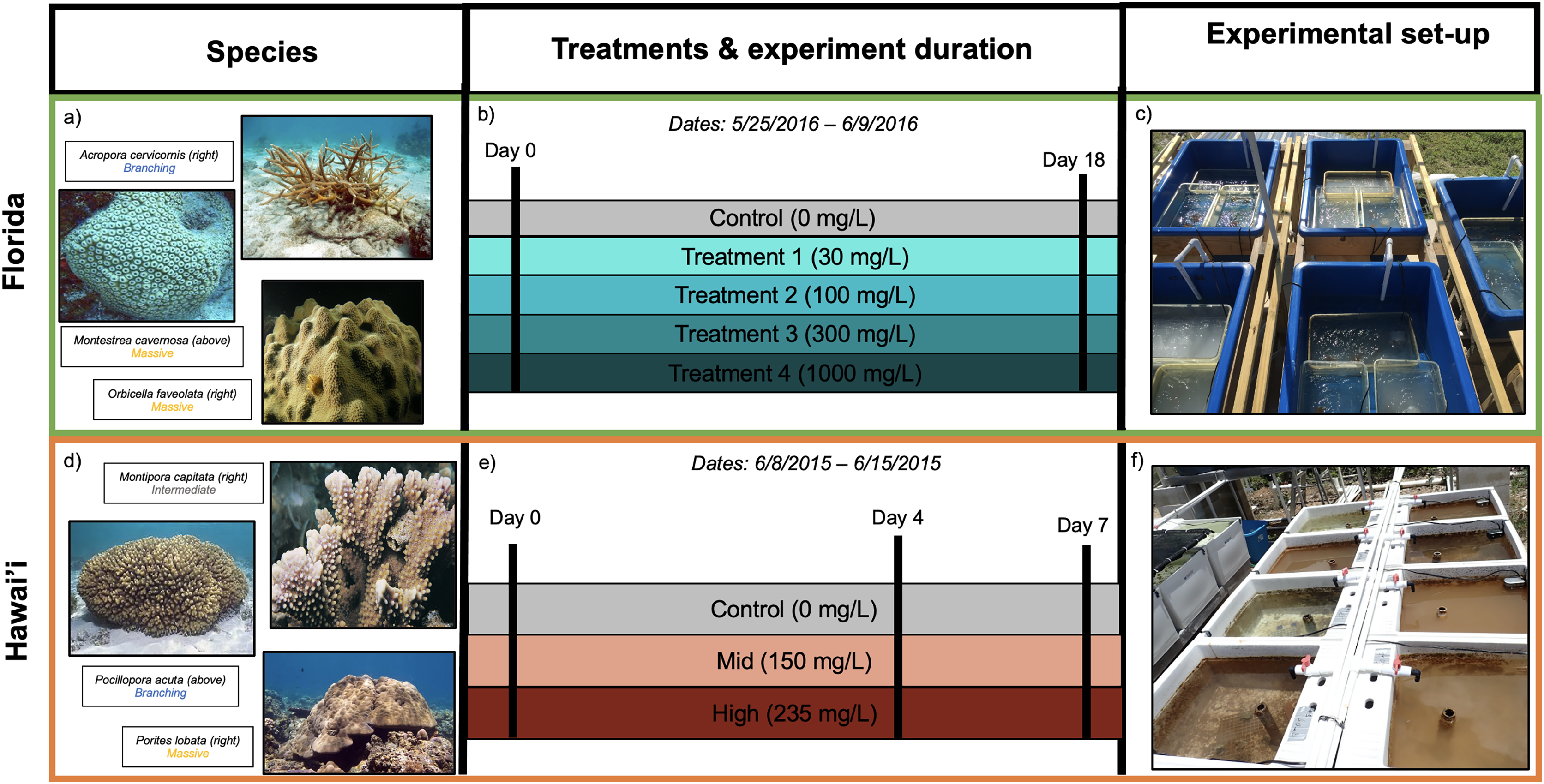 Characterizing transcriptomic responses to sediment stress across location  and morphology in reef-building corals [PeerJ]