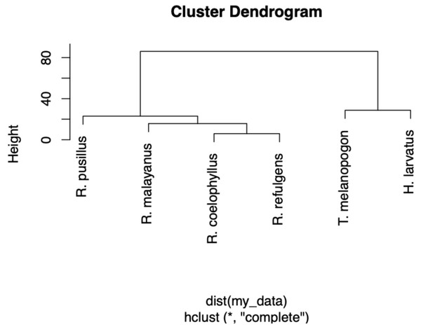 A dendrogram of the food partitioning of bat species.