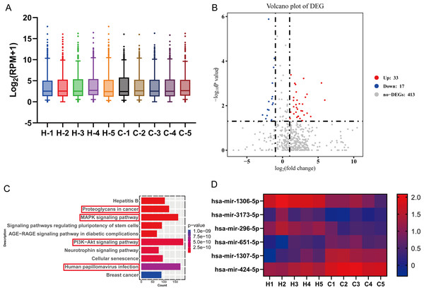High-throughput miRNA sequencing was performed to screen for differential miRNA in the serum of five GC patients and five healthy individuals.