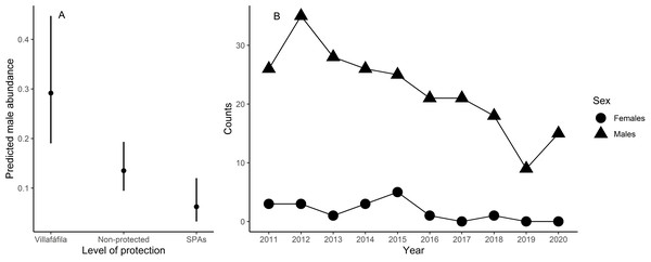 Results from the model analysing differences in little bustard male abundance between protected area categories in the study area (A) and little bustard trends shown by censuses in Villafáfila (B).