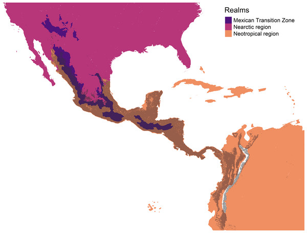 Geographic representation of the environmental overlap (grey) between the three cenocrons of the Mexican Transition Zone, compared to the areas (yellow) that correspond to the Mexican Transition Zone (sensu Morrone, 2020).