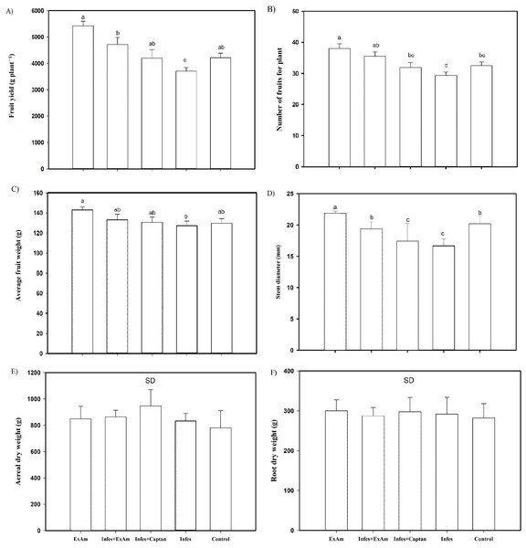 (A) Fruit yield per plant; (B) the number of fruits per plant; (C) average fruit weight; (D) stem diameter; (E) aerial dry weight; (F) root dry weight.