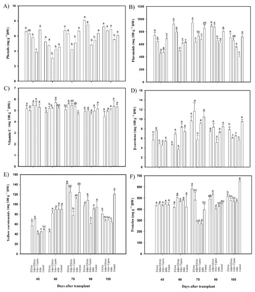 Antioxidant compounds in tomato leaves with different treatments.