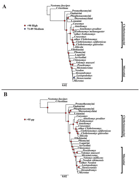 Higher-order nuclear (Ghr, IRBP/RBP3, and BRCA1) only analyses.