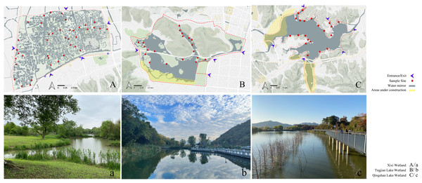 Sites of investigation and photographs of the three urban wetlands.
