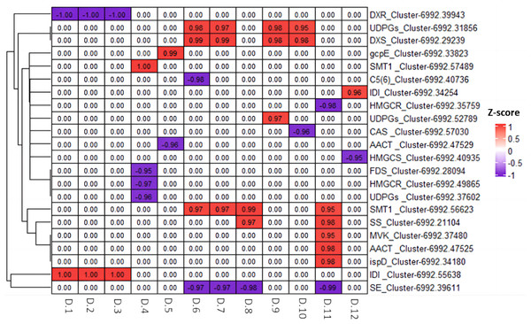 Heatmap of Pearson correlation analysis between diosgenin genes and diosgenin metabolites.