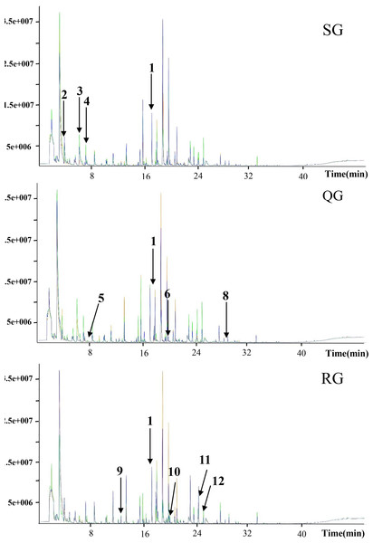 Total ion current chromatograms of volatile compounds in melon fruits produced by plants grafted onto different rootstocks.