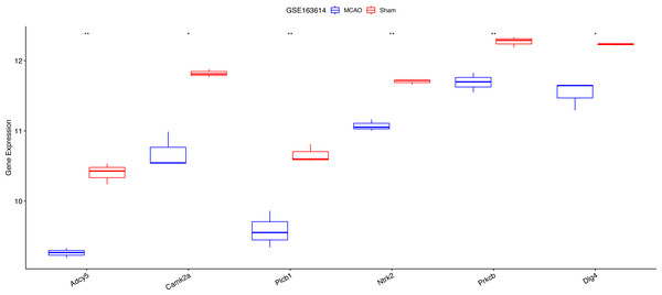 Expression analysis of six key hypoxia-associated genes in the GSE163614 dataset.