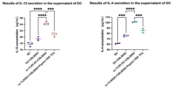  Secretion of IL-12 and IL-4 by dendritic cells in each group.
