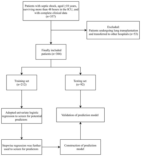 Flowchart of patient selection.