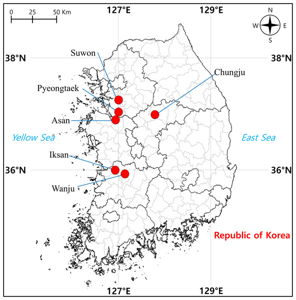 Sampling localities of individuals of Dryophytes suweonensis, D. japonicus, and their hybrids in South Korea.