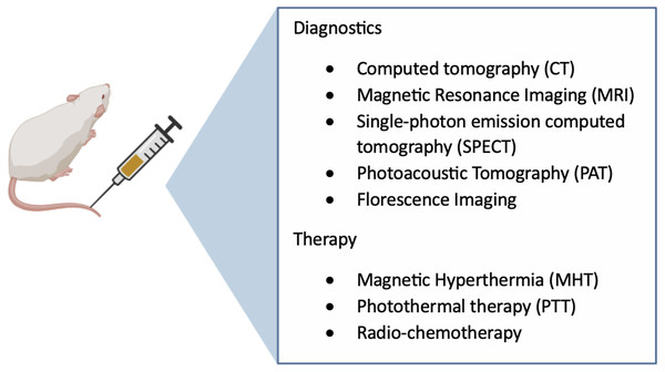 Multifunctional magnetic-based theranostics nanoparticles.