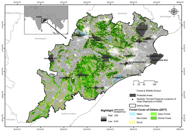 The map showing Odisha state with the spatially thinned presence events (n = 5,568) of Asian elephants along with the overlay of forest cover and nightlight information.
