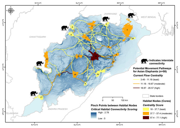 Maps showing the importance of potential movement pathways and core habitat nodes along with the pinch point status for the potential movement areas for Asian elephants in Odisha, India (numbers refer to Table 1 and Table S7).