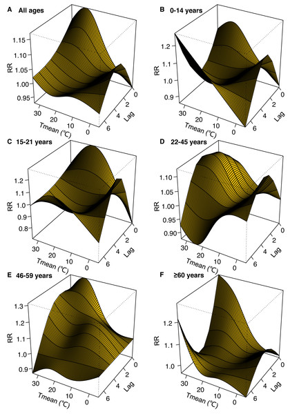 3-D plots for the relative risk (RR) of emergency department visits for dog and cat bites associated with mean temperature (Tmean) over lag 0–7 days produced by the distributed lag non-linear mode (DLNM).