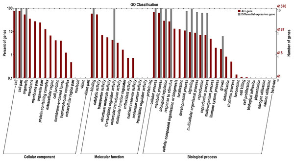 Gene ontology analysis of 10 AsMADS genes from RNA-seq data.