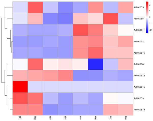 Expression profiles analysis of 10 AsMADS genes from RNA-seq data.