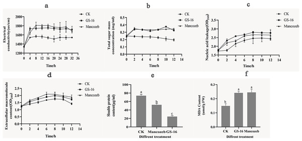 Effects of PE extract of GS-16 on the cell membrane and cellular contents of 1-F.