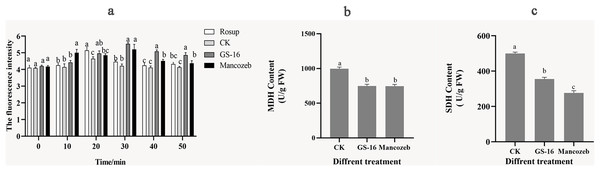 Cell metabolism change of 1-F after treatment with PE extract of GS-16.