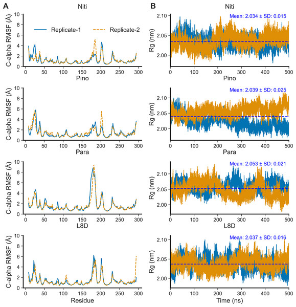 Local fluctuation of the protein residues and global changes of the protein compactness.