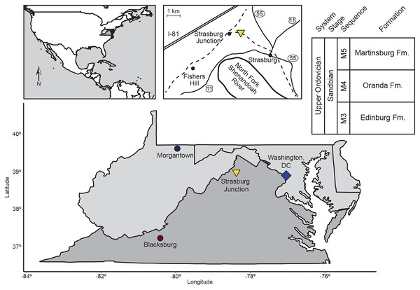 Location map and generalized stratigraphy of samples analyzed in this study.